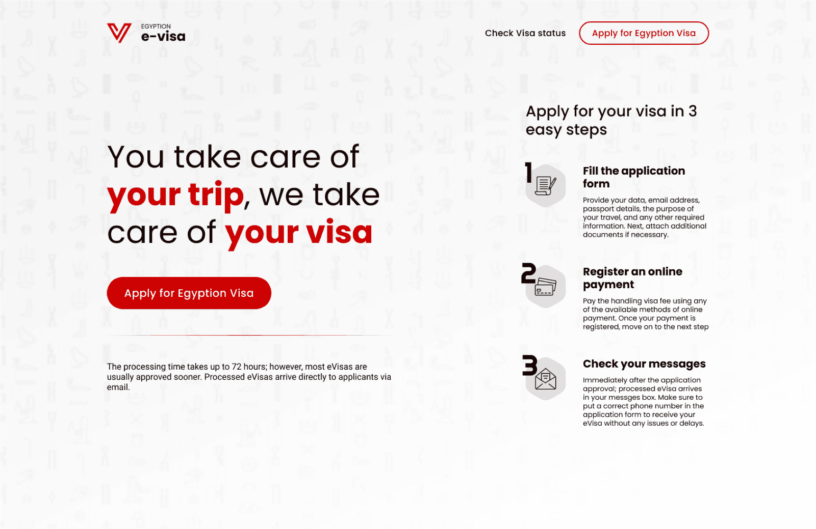 Egyptian e-Visa — detail