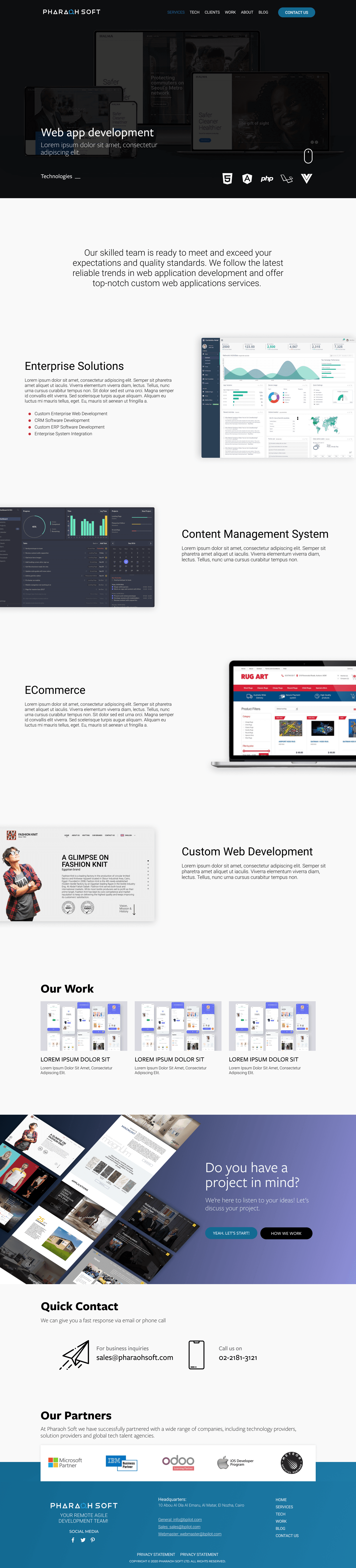 Web app development service detail